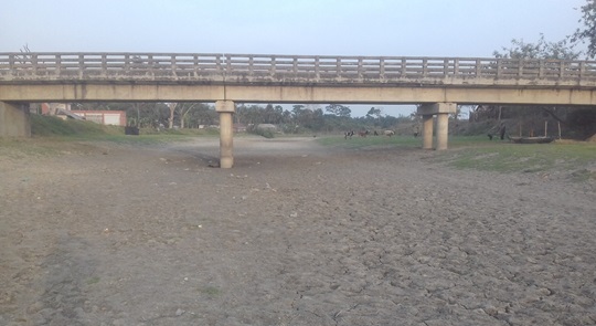 image-here